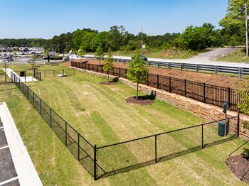 Dog Park